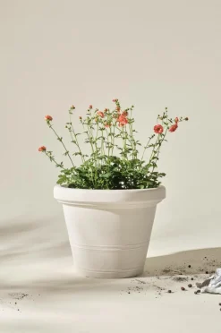 Utekrukor|Krukor|Jotex AMY Utomhuskruka ø 60 Cm Vit