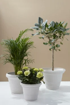Utekrukor|Krukor|Jotex AMY Utomhuskruka ø 60 Cm Vit