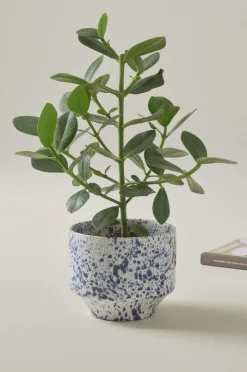 Krukor|Jotex BELLADONNA Kruka ø 21,5 Cm Vit/blå