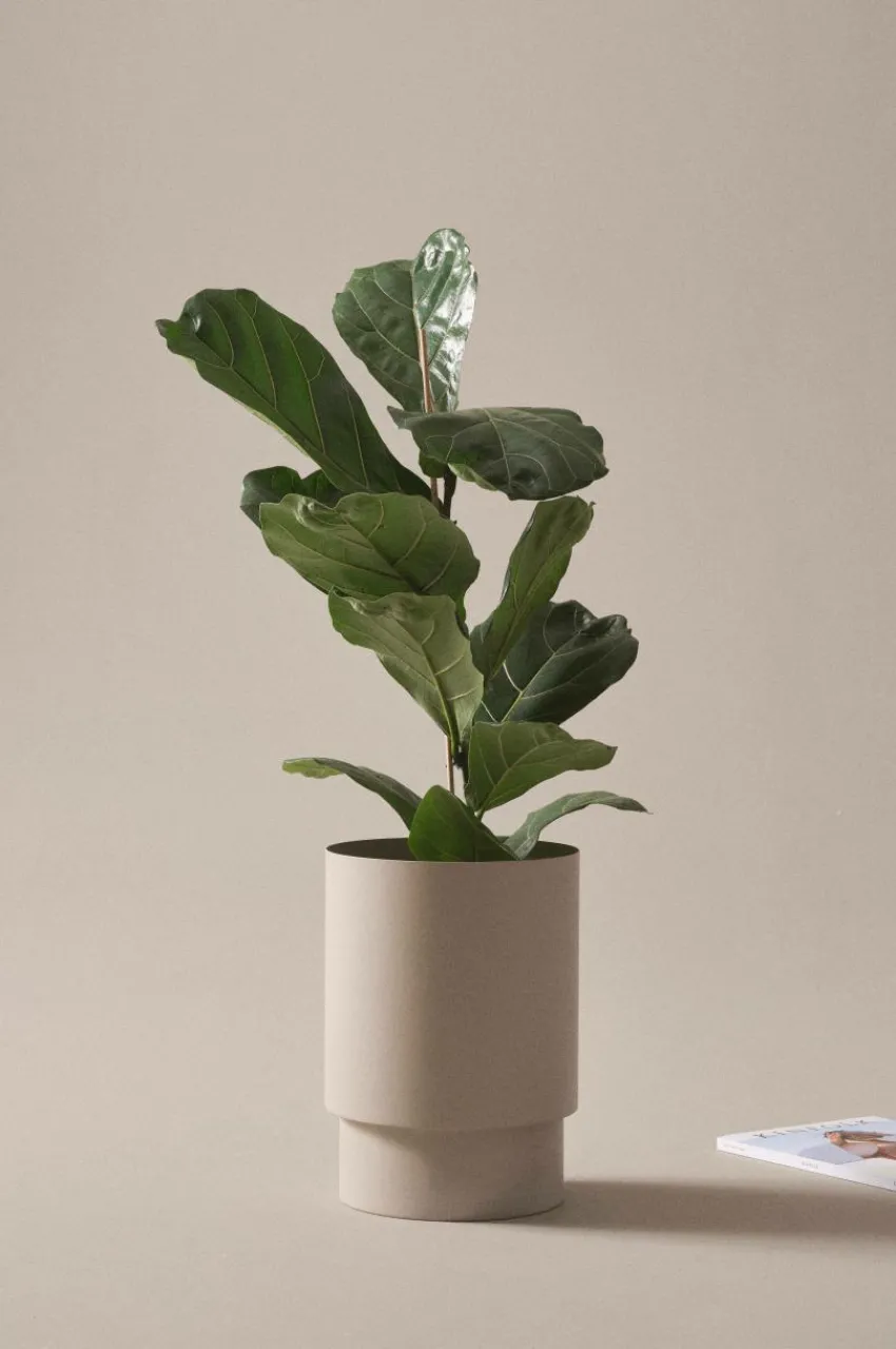 Utekrukor|Krukor|Jotex DESTINY Kruka ø 25 Cm Beige