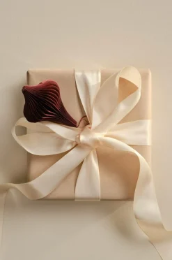 Presentpapper & Snöre|Jotex DOUBLE FACE Band Beige