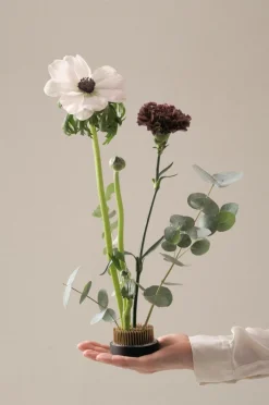 Vaser|Krukor|Jotex FIORE Blomsterfakir ø 6 Cm Svart/koppar