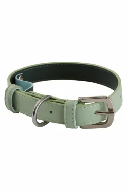 Djurtillbehör|Jotex INU Hundhalsband/katthalsband Grön/mint