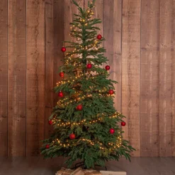 Utebelysning|Utebelysning|Jotex Julgran Edane 210cm Grön