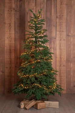 Utebelysning|Utebelysning|Jotex Julgran Edane 210cm Grön