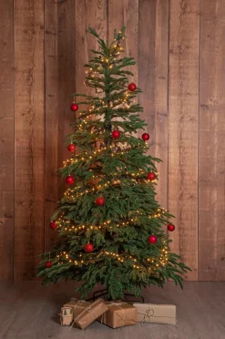 Utebelysning|Utebelysning|Jotex Julgran Edane 210cm Grön