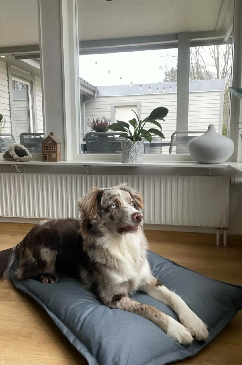 Hundbädd/Kattbädd|Jotex LOKI OUTDOOR Hundbädd/kattbädd 100x70 Cm Pärlgrå