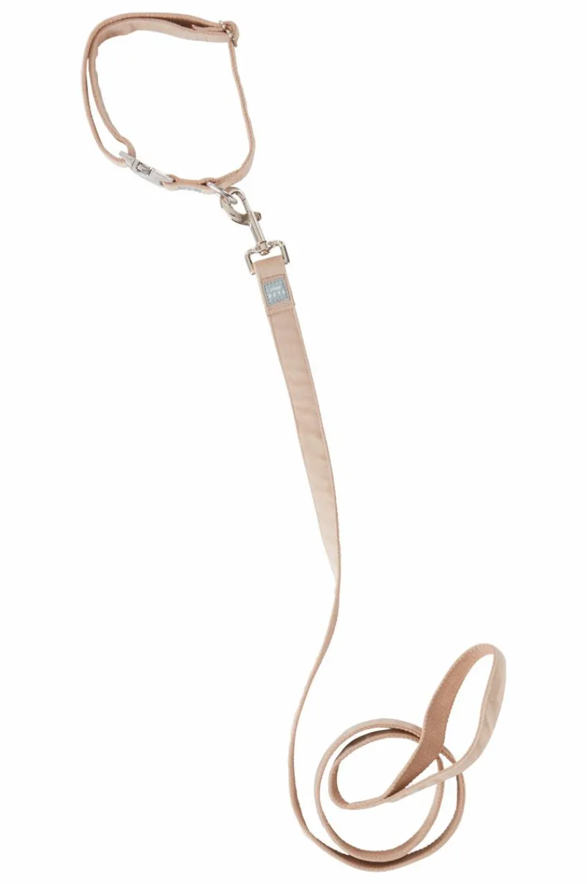 Djurtillbehör|Jotex LUCA Koppel Och Hundhalsband Beige
