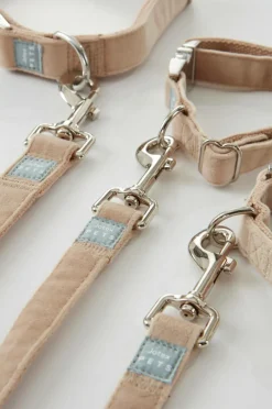 Djurtillbehör|Jotex LUCA Koppel Och Hundhalsband Beige