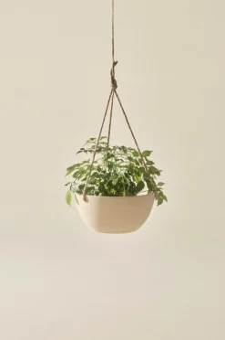 Utekrukor|Krukor|Jotex MARK Ampelkruka ø 25 Cm undefined