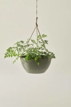 Utekrukor|Krukor|Jotex MARK Ampelkruka ø 31 Cm undefined