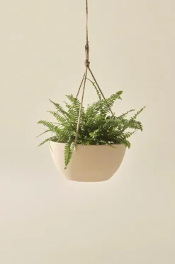 Utekrukor|Krukor|Jotex MARK Ampelkruka ø 31 Cm undefined