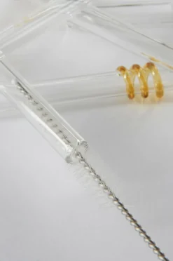 Kökstillbehör|Glas|Jotex MIEKE Sugrör 12-pack Transparent