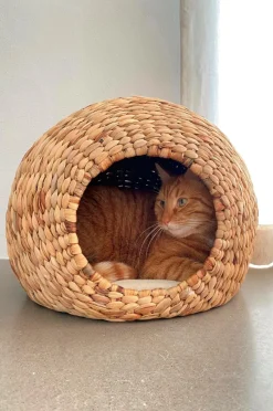 Hundbädd/Kattbädd|Jotex NIKO Hundbädd/kattbädd Natur