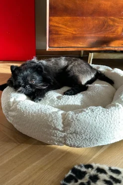 Hundbädd/Kattbädd|Jotex OBI Hundbädd/kattbädd Naturvit