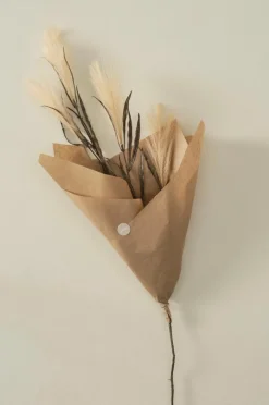 Vaser|Jotex PAMPAS WIND 1 Stjälk Beige/brun