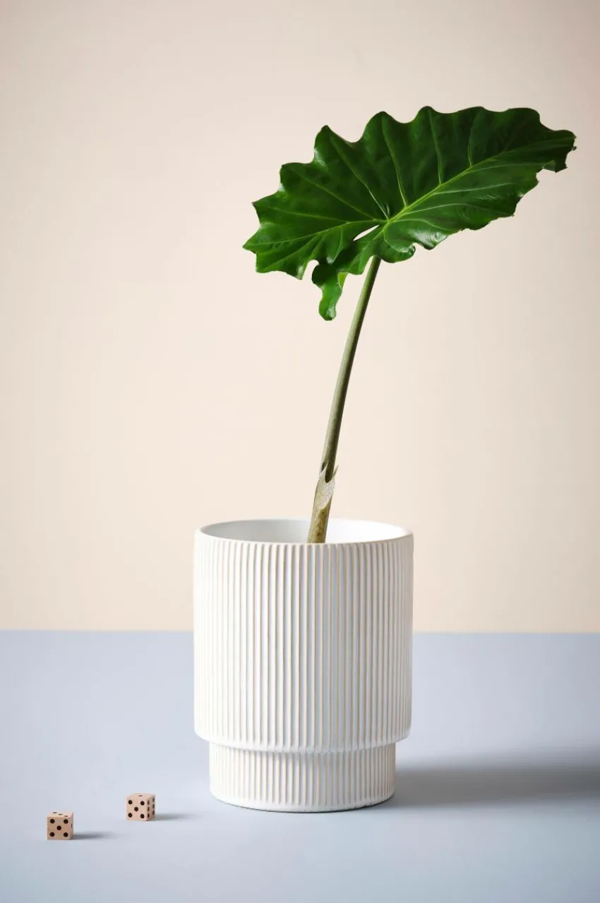 Krukor|Jotex RUBY JO Kruka ø 21 Cm Naturvit