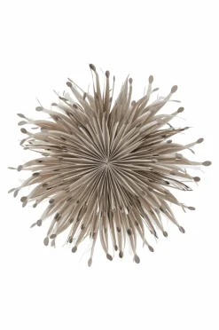 Julbelysning|Jotex SARGAS Julstjärna ø 60 Cm Greige