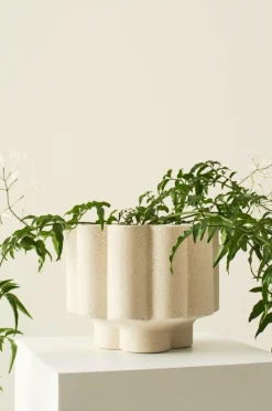 Krukor|Jotex SIGFRID Kruka Naturvit