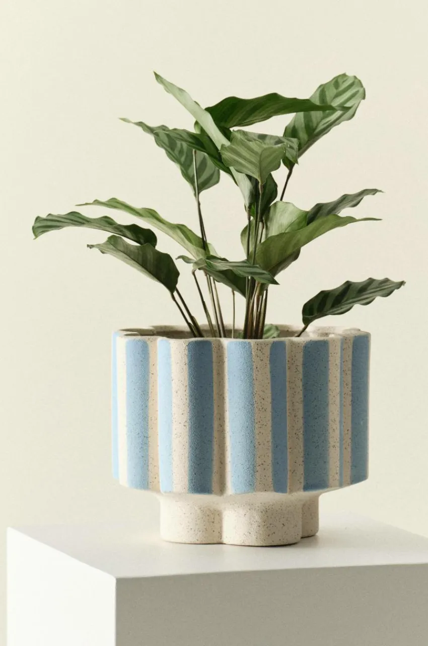 Krukor|Jotex SIGFRID STRIPE Kruka Blå/naturvit