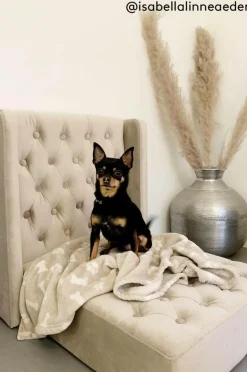 Hundbädd/Kattbädd|Jotex SKENE LYX Hundbädd/kattbädd Beige