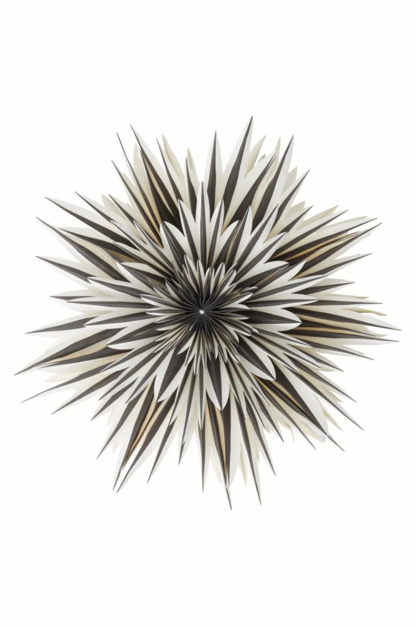 Julbelysning|Jotex SPICA Julstjärna ø 64 Cm Svart