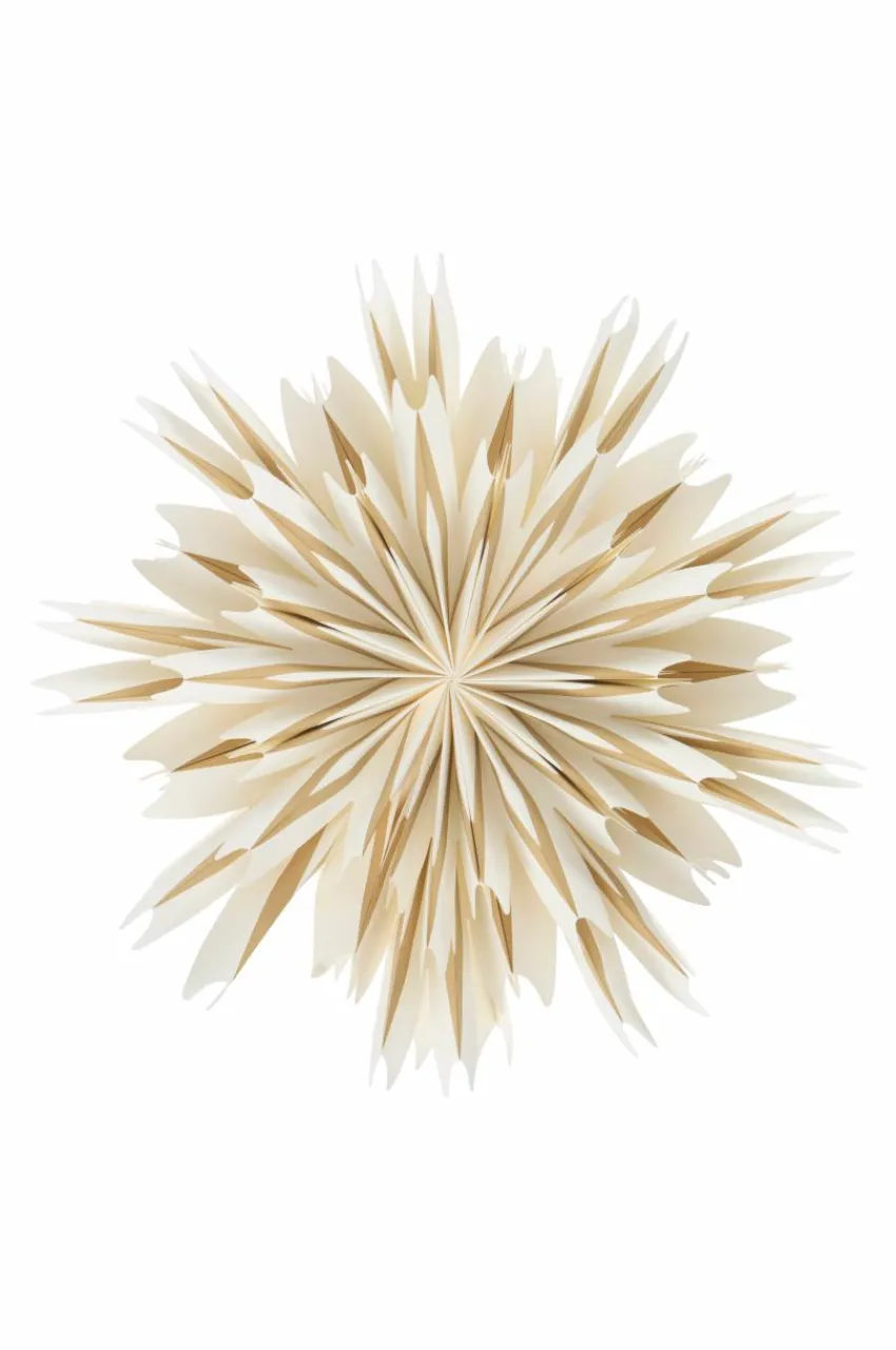 Julbelysning|Jotex THEBE Julstjärna ø 50 Cm Vit/brun