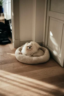 Hundbädd/Kattbädd|Jotex YOSHI Hundbädd/kattbädd Beige